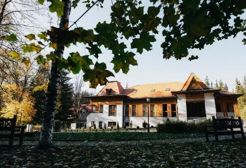 ホテル Villa Bellini Borszék