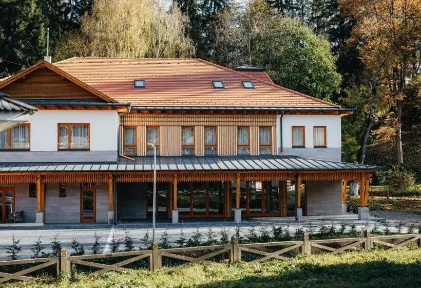 ホテル Villa Bellini Borszék