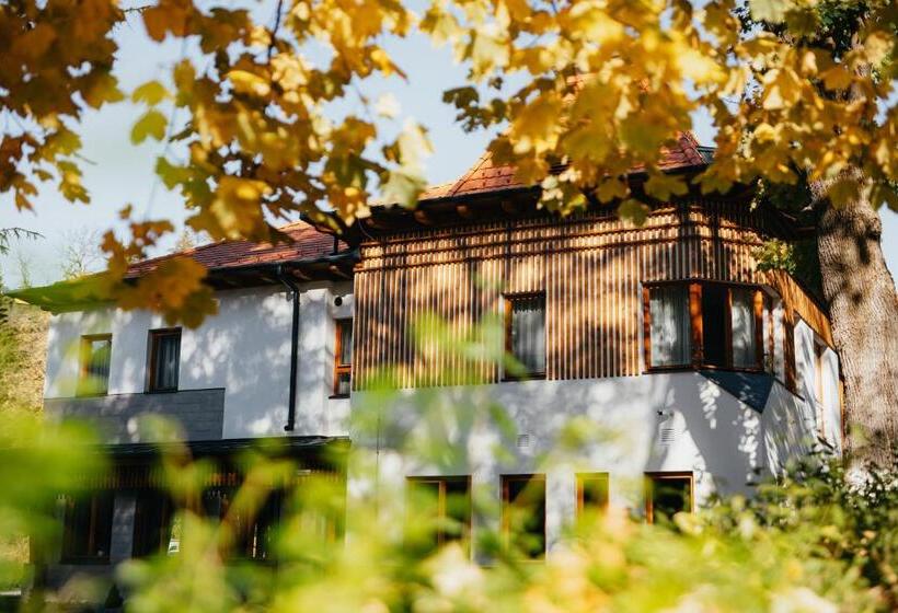 酒店 Villa Bellini Borszék