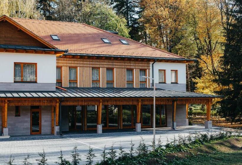 酒店 Villa Bellini Borszék