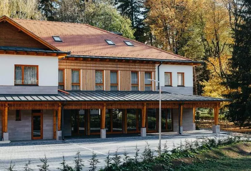 ホテル Villa Bellini Borszék