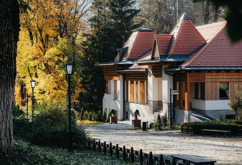 酒店 Villa Bellini Borszék