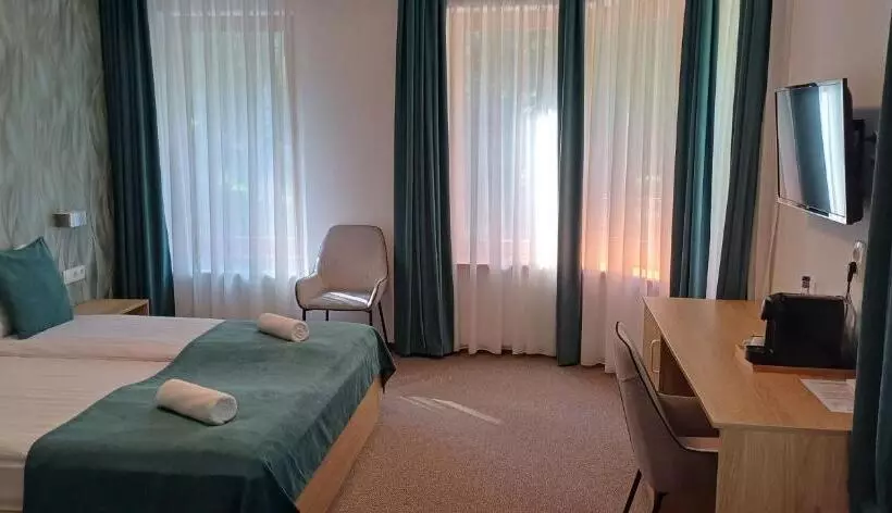 ホテル Villa Bellini Borszék