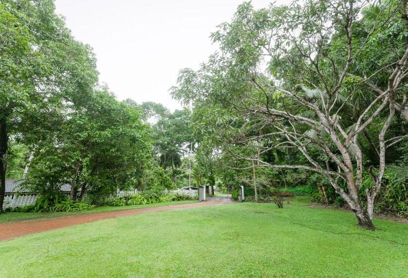 Pensjonat Dias Legacy Bungalow