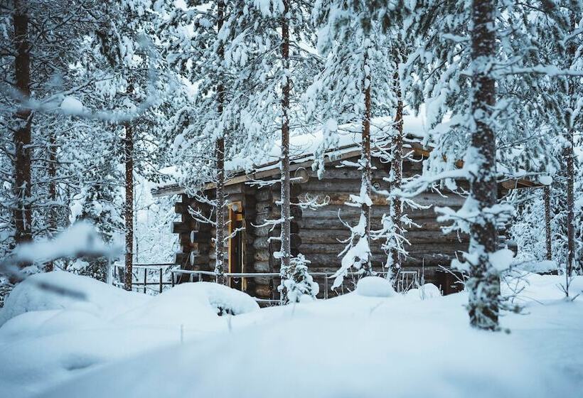 پانسیون Invisible Forest Lodge