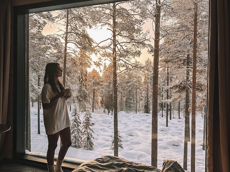 پانسیون Invisible Forest Lodge