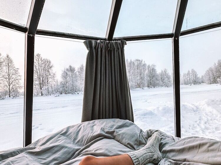 پانسیون Invisible Forest Lodge