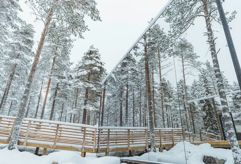 پانسیون Invisible Forest Lodge