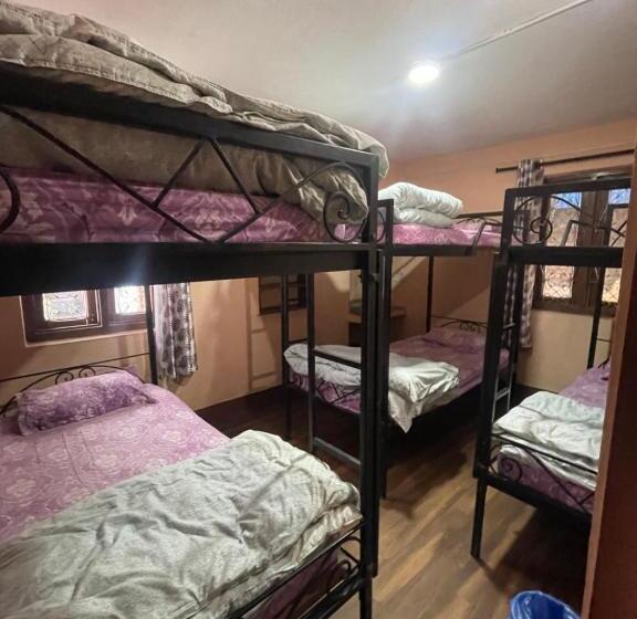 پانسیون Nirvaan Guest House