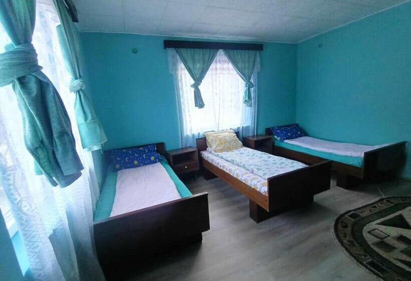 بنسيون Sc Simi Gugea Srl