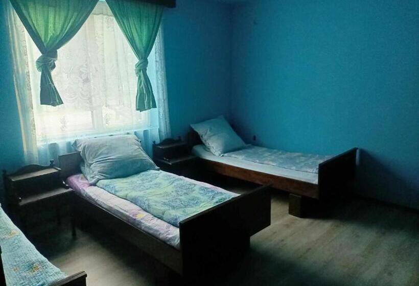 بنسيون Sc Simi Gugea Srl