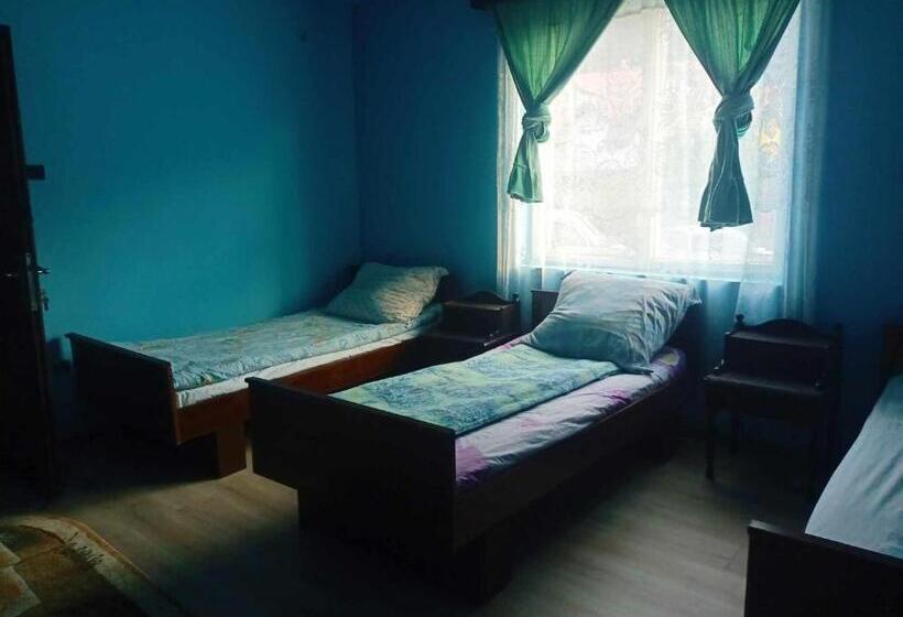 بنسيون Sc Simi Gugea Srl