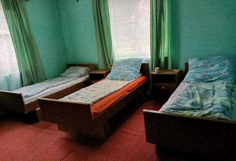 بنسيون Sc Simi Gugea Srl