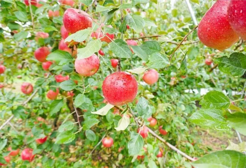 Majatalo The Bath & Bed Obuse   Vacation Stay 15924