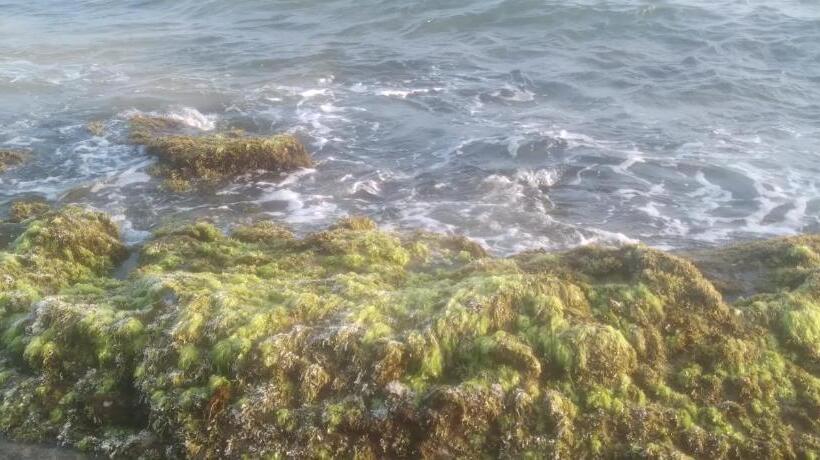 Bed and Breakfast Sorry We Are Close Now!! Green View Cabana