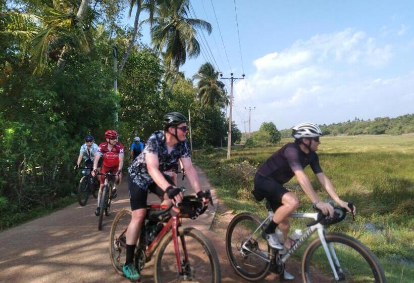 Bed and Breakfast Sorry We Are Close Now!! Green View Cabana