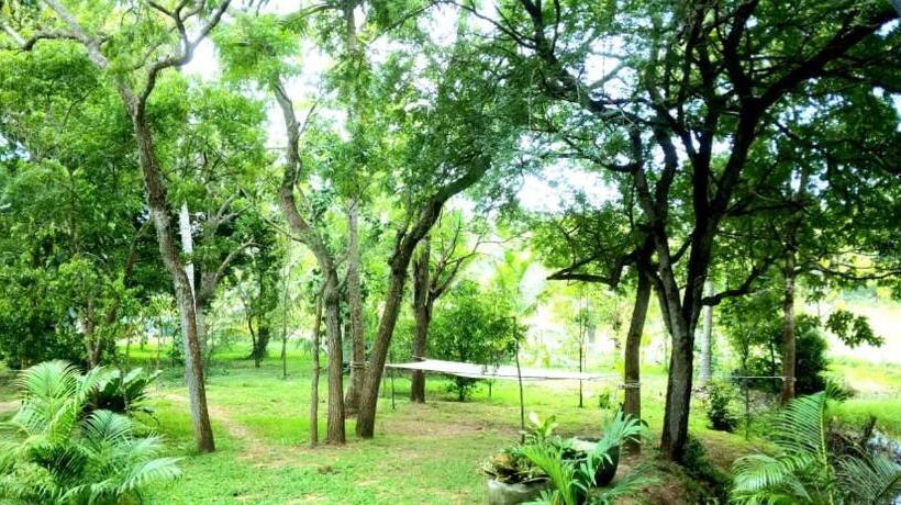 Bed and Breakfast Sorry We Are Close Now!! Green View Cabana