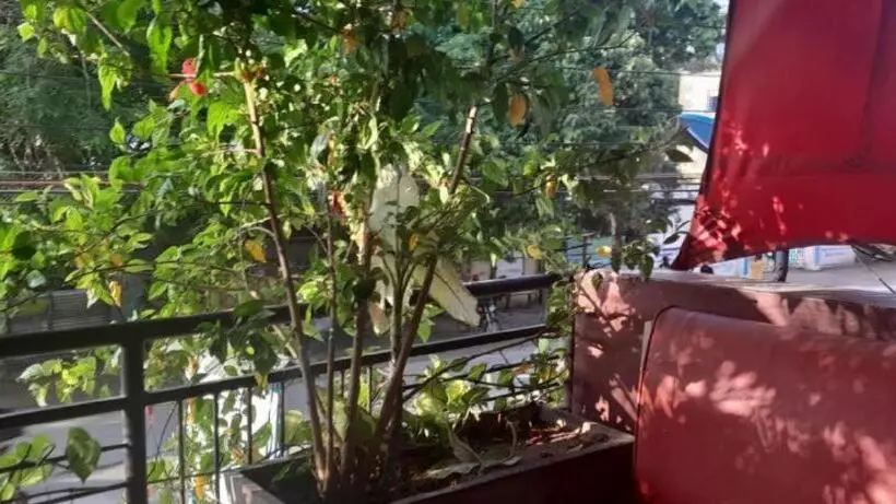 هتل Manas Mtwapa Mombasa