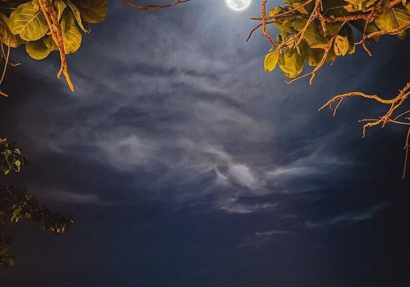 هتل Parador 7 Bangalôs