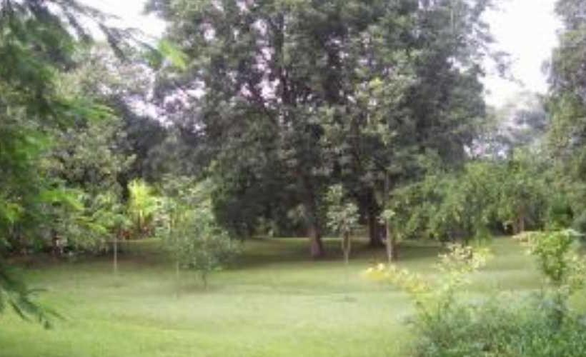 پانسیون Chácara Irmandade