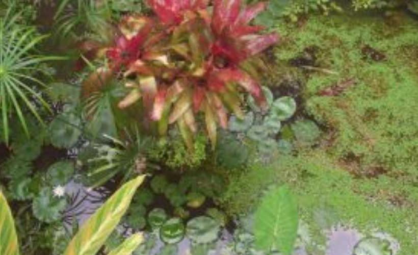 پانسیون Chácara Irmandade