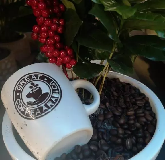 پانسیون Evergreen