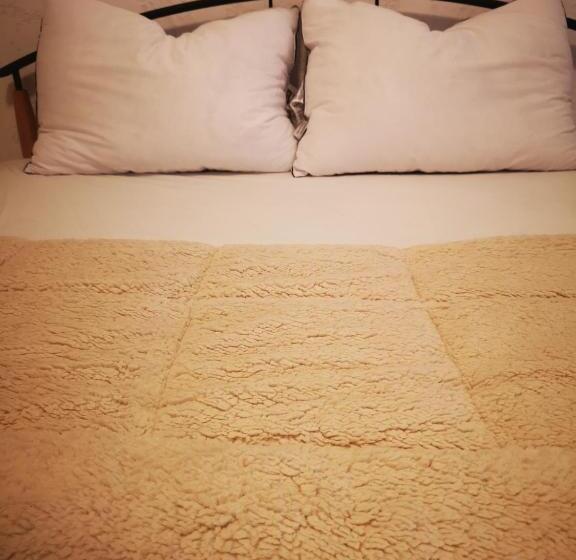 پانسیون Evergreen