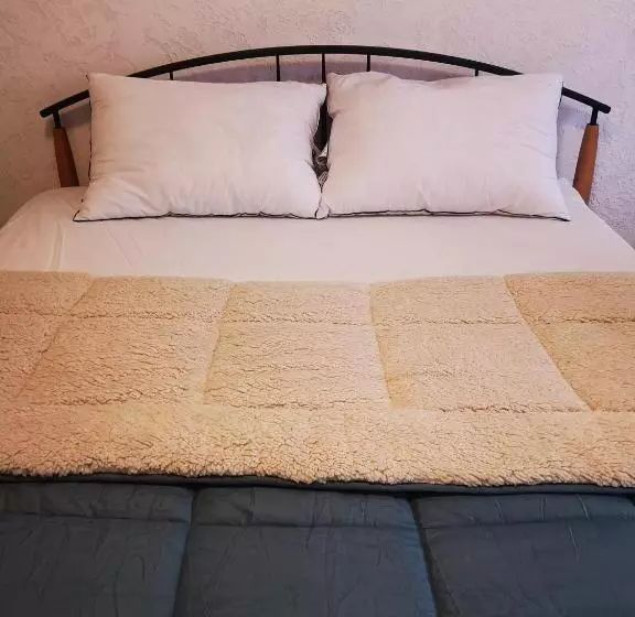 پانسیون Evergreen