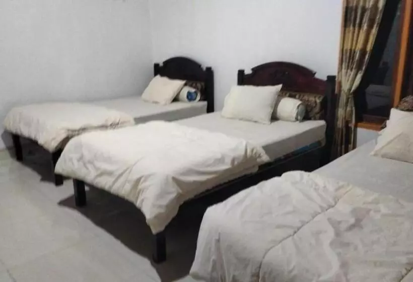 ペンション Ocean Holiday Liukang