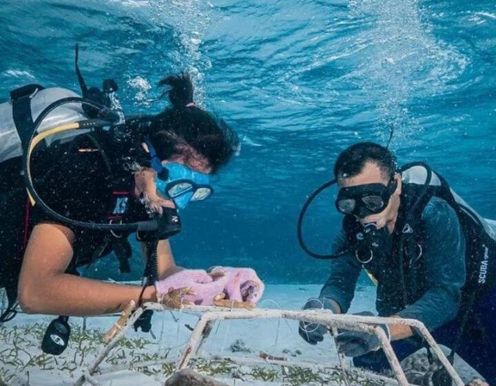 פנסיון Ocean Holiday Liukang