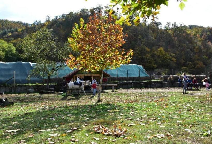 Pensiunea Crenguța Fermecată