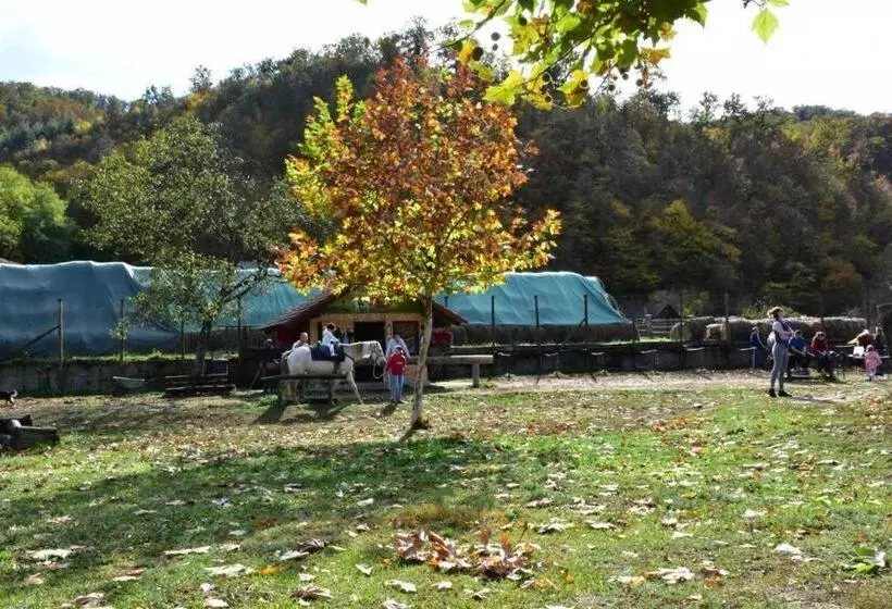 Pensiunea Crenguța Fermecată