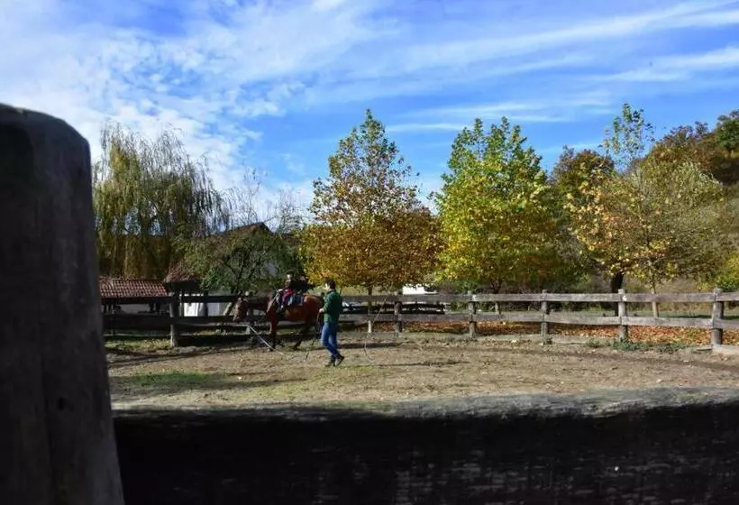 Pensiunea Crenguța Fermecată