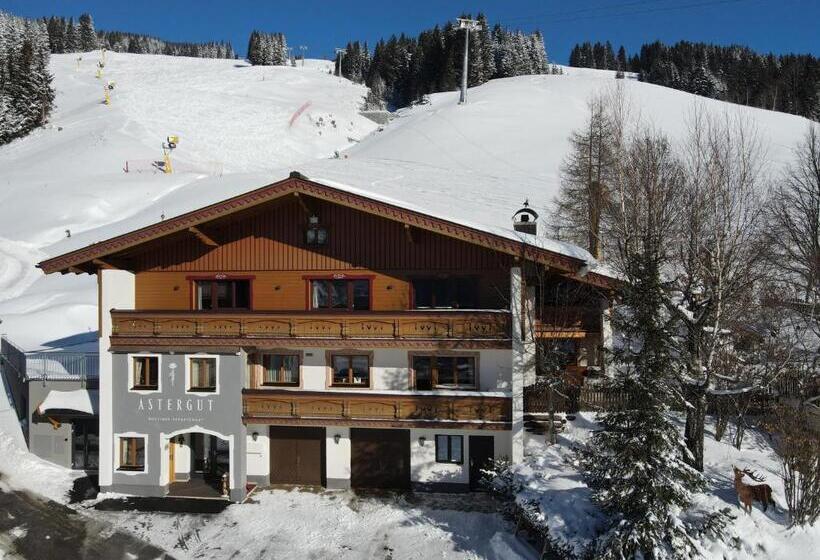 Astergut Boutique Apartment