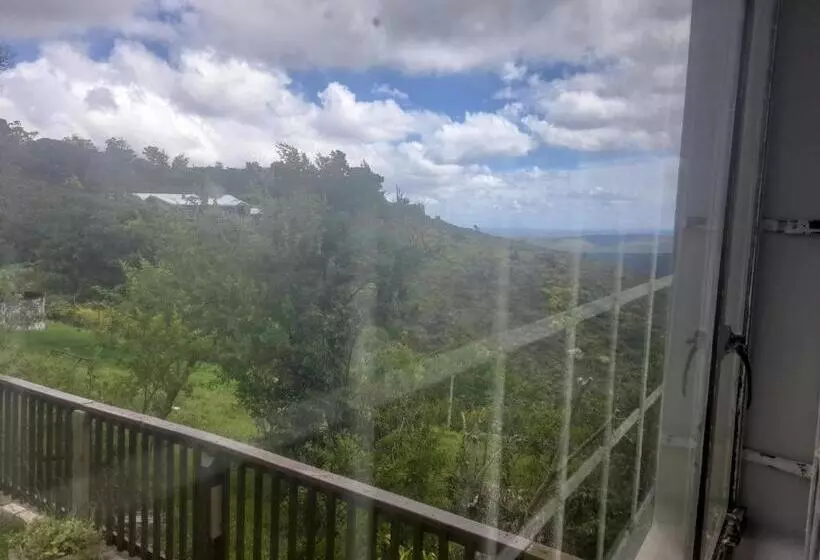 Aamiaismajoitus (B&B) Cindywood Cottage Airbnb