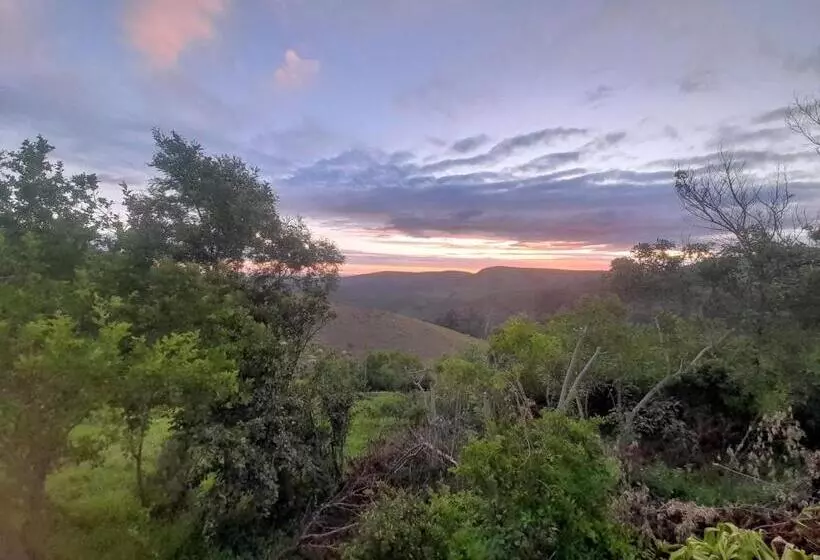 Aamiaismajoitus (B&B) Cindywood Cottage Airbnb