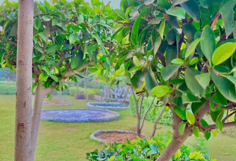 ホテル Gurgaon Farmhouseparty Birthday Party