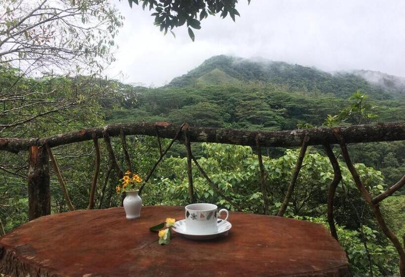 Отель The Vintage Villa Knuckles