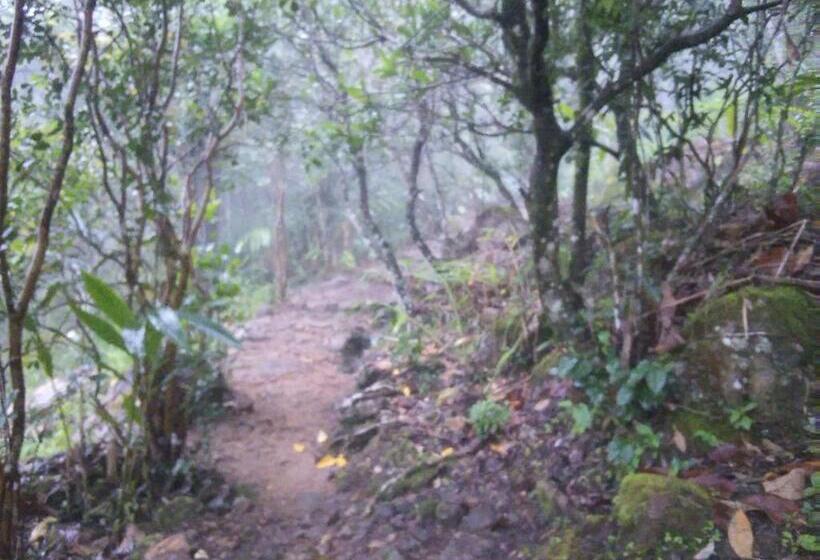 Отель The Vintage Villa Knuckles