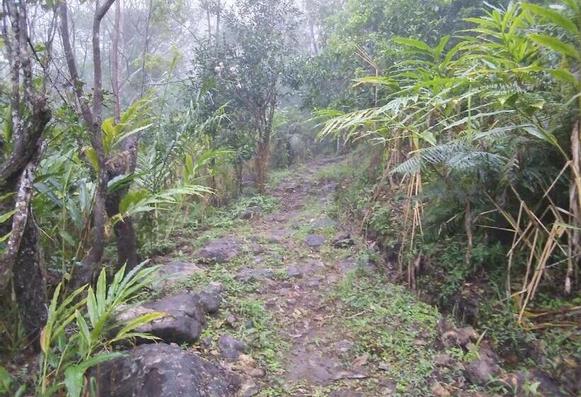 Отель The Vintage Villa Knuckles