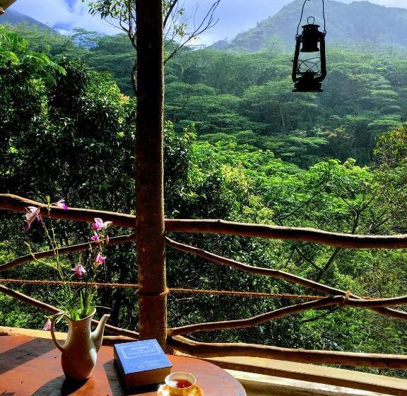 Отель The Vintage Villa Knuckles