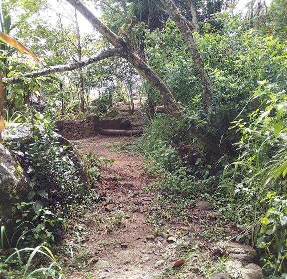 Отель The Vintage Villa Knuckles