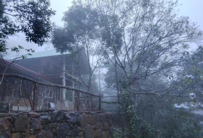 Отель The Vintage Villa Knuckles