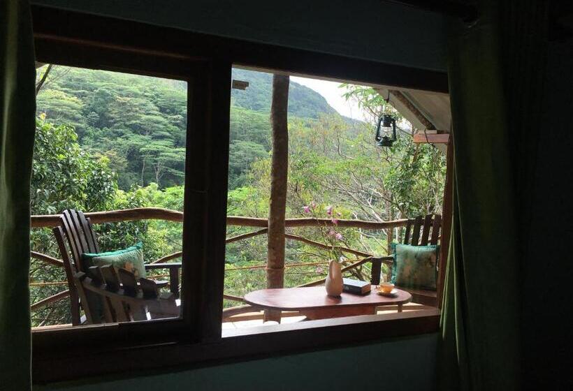 Отель The Vintage Villa Knuckles