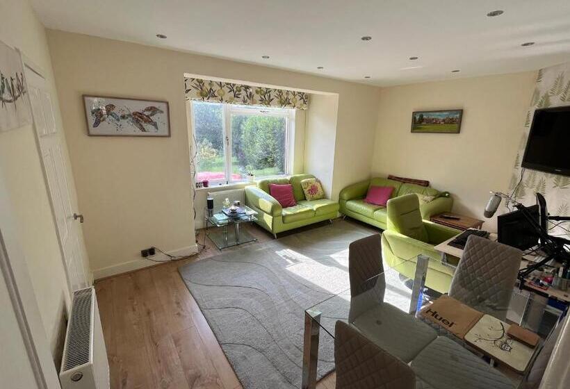 Пансион Immaculate House For Professionals 2020 Renovation