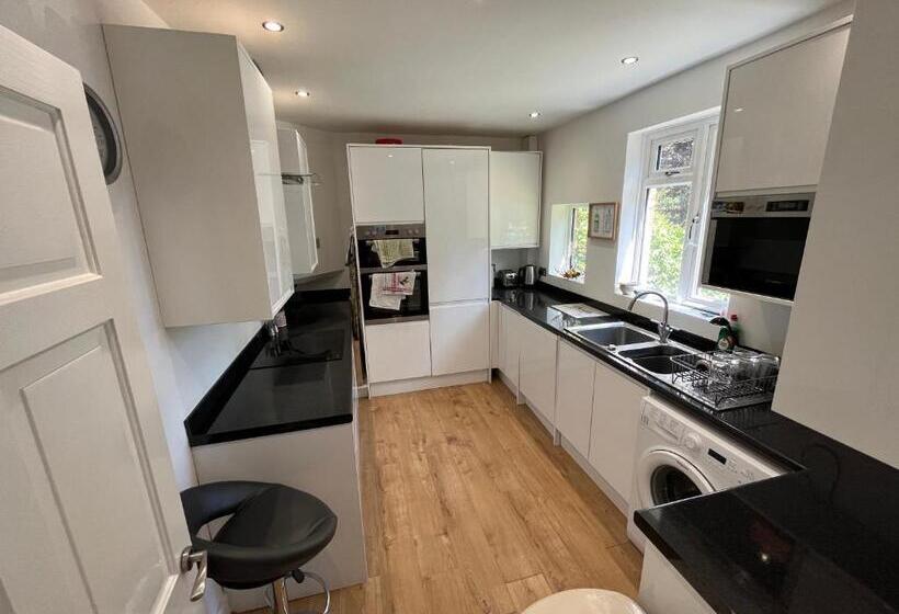 Пансион Immaculate House For Professionals 2020 Renovation