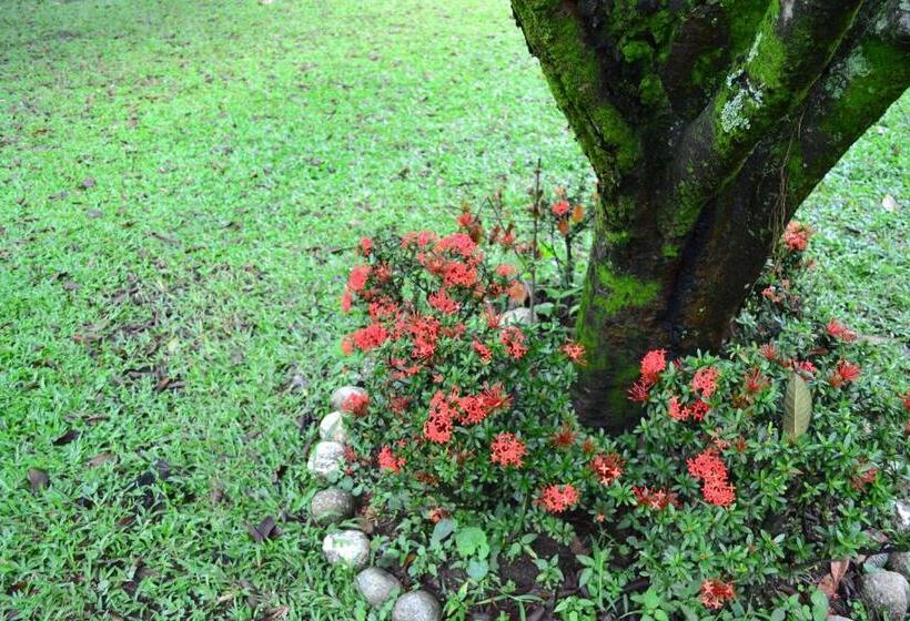 פנסיון Sun House