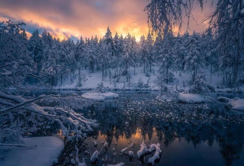 Skogsro Forest Hostel