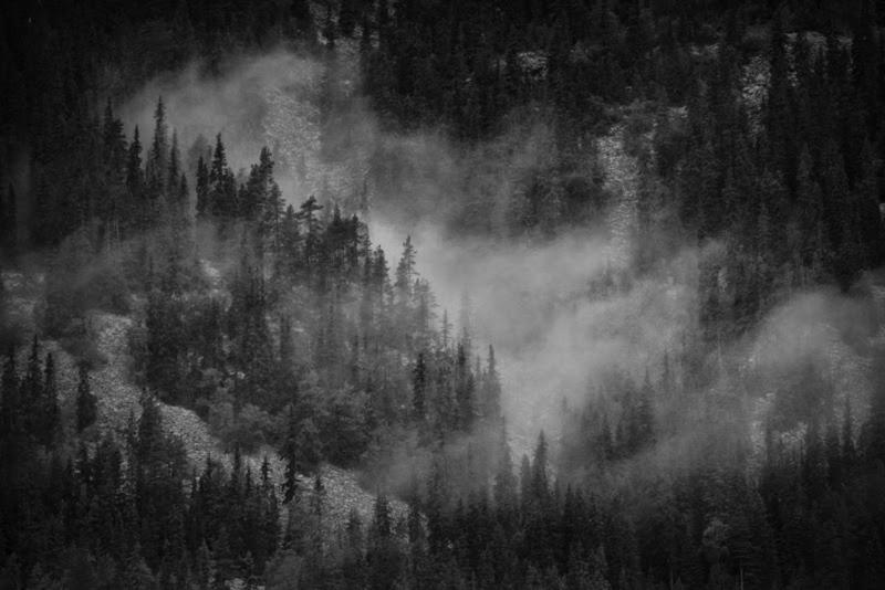 Skogsro Forest Hostel