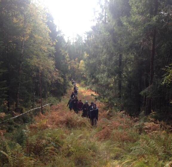 Skogsro Forest Hostel